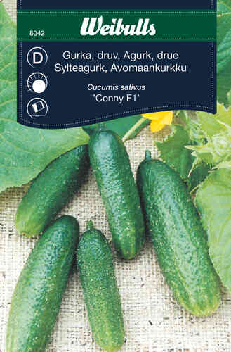 Gurka 'Conny' F1 