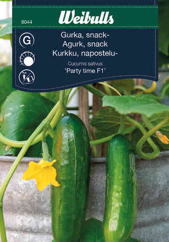 Snack-kurkku 'Party Time' F1