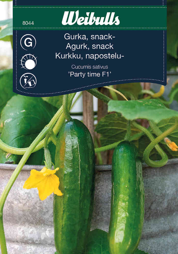 Snackgurka 'Party Time' F1