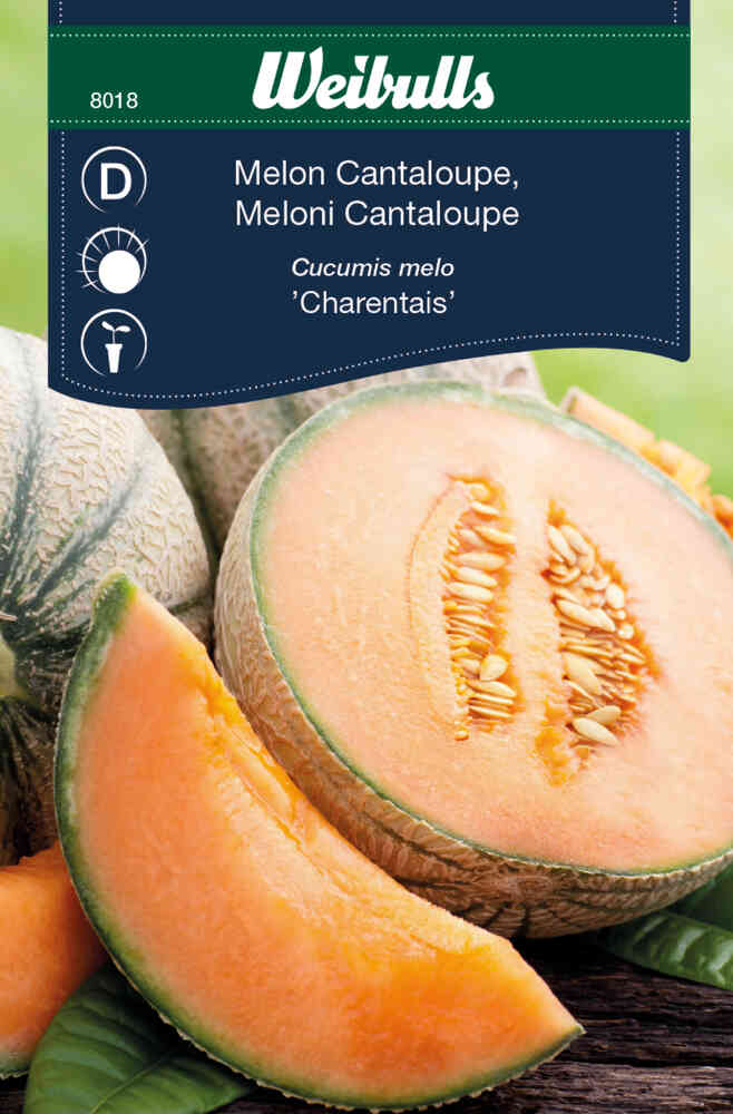 Cantaloupemelon 'Charentais'