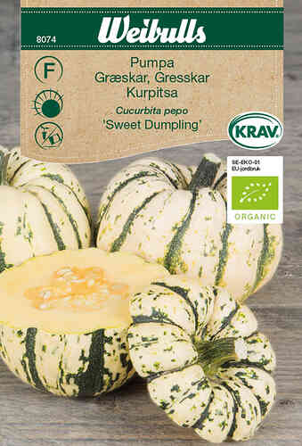 LUOMU Kurpitsa 'Sweet Dumpling' 