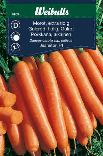 Morot, extra tidig 'Jeanette' F1 