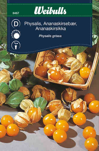 Ananaskirsikka