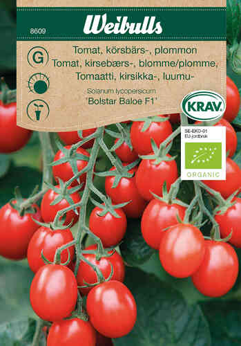 LUOMU Luumukirsikkatomaatti 'Bolstar Baloe' F1