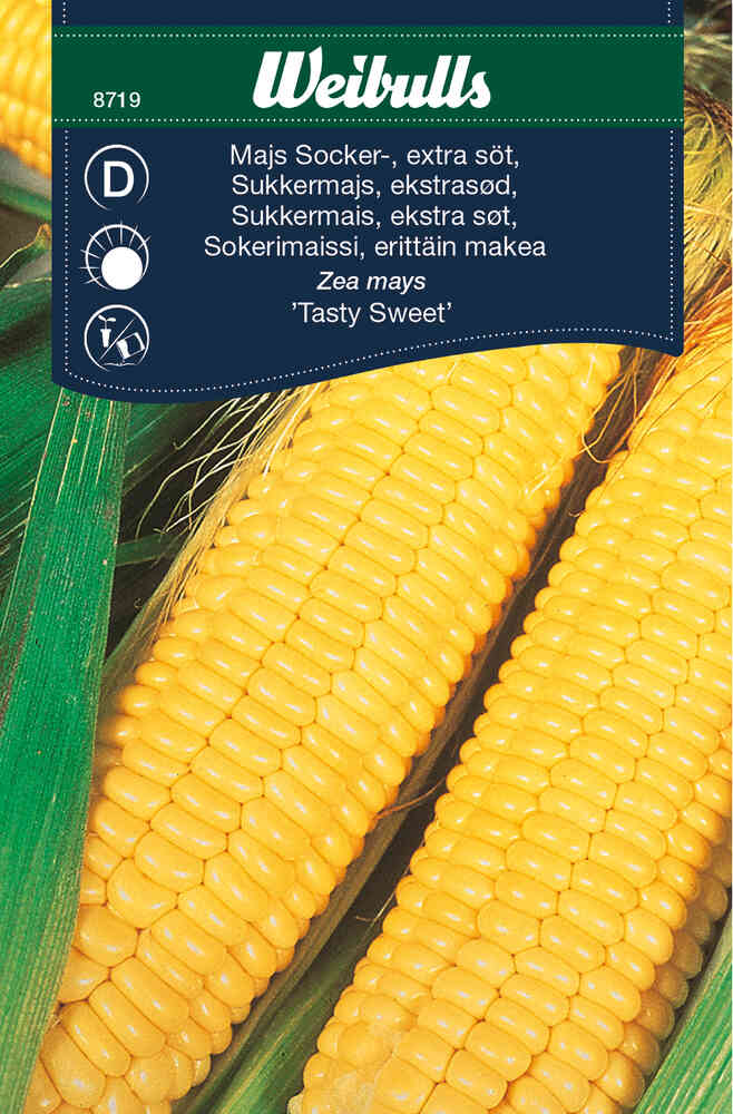 Sockermajs 'Tasty Sweet' F1