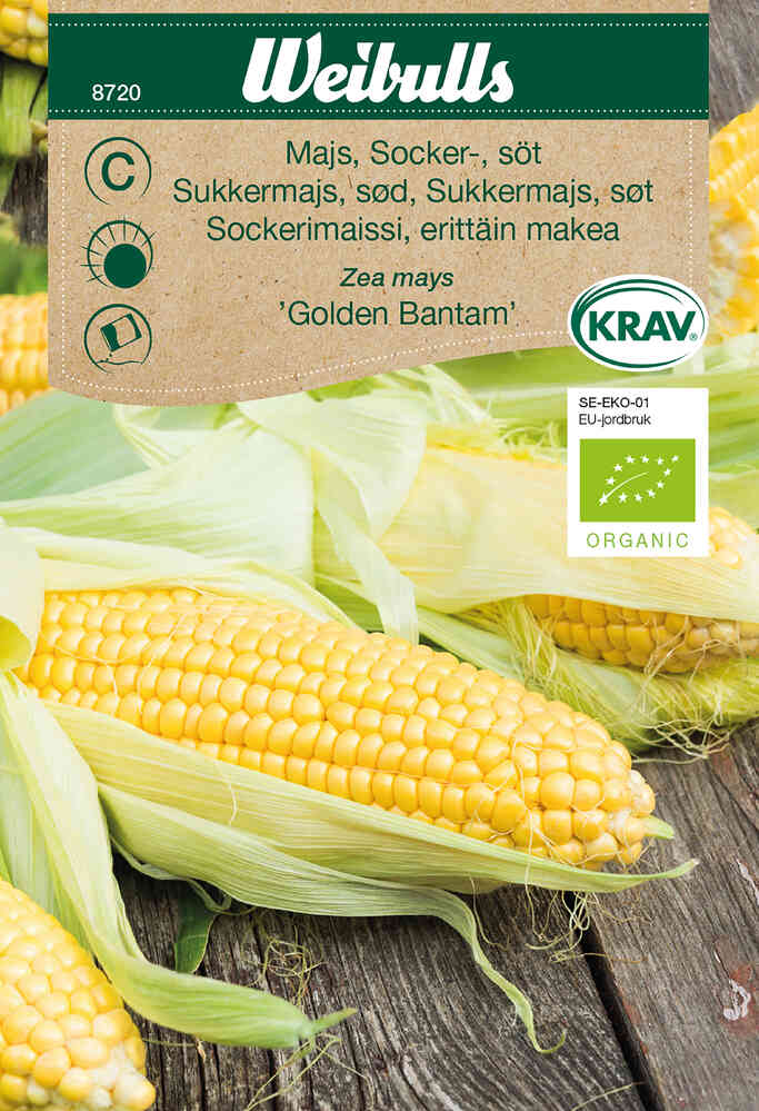 EKO Sockermajs 'Golden Bantam'