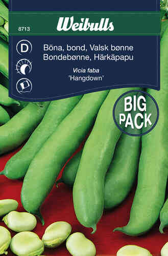 Härkäpapu 'Hangdown' Big Pack