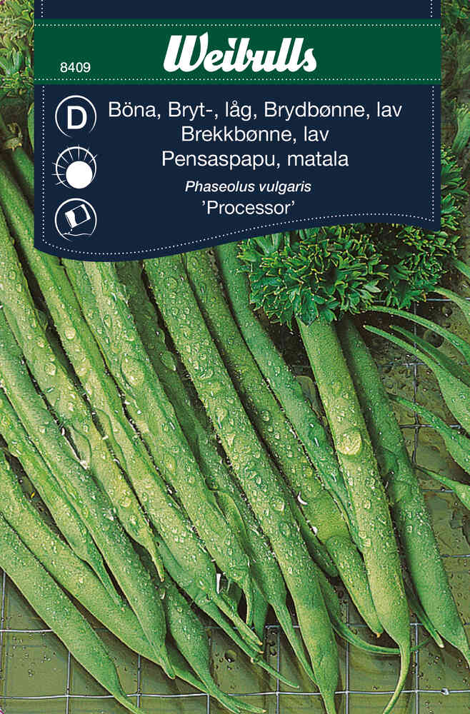 Pensaspapu 'Processor'