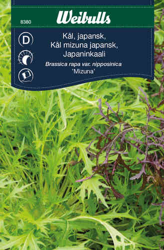 Japansk kål 'Mizuna' 