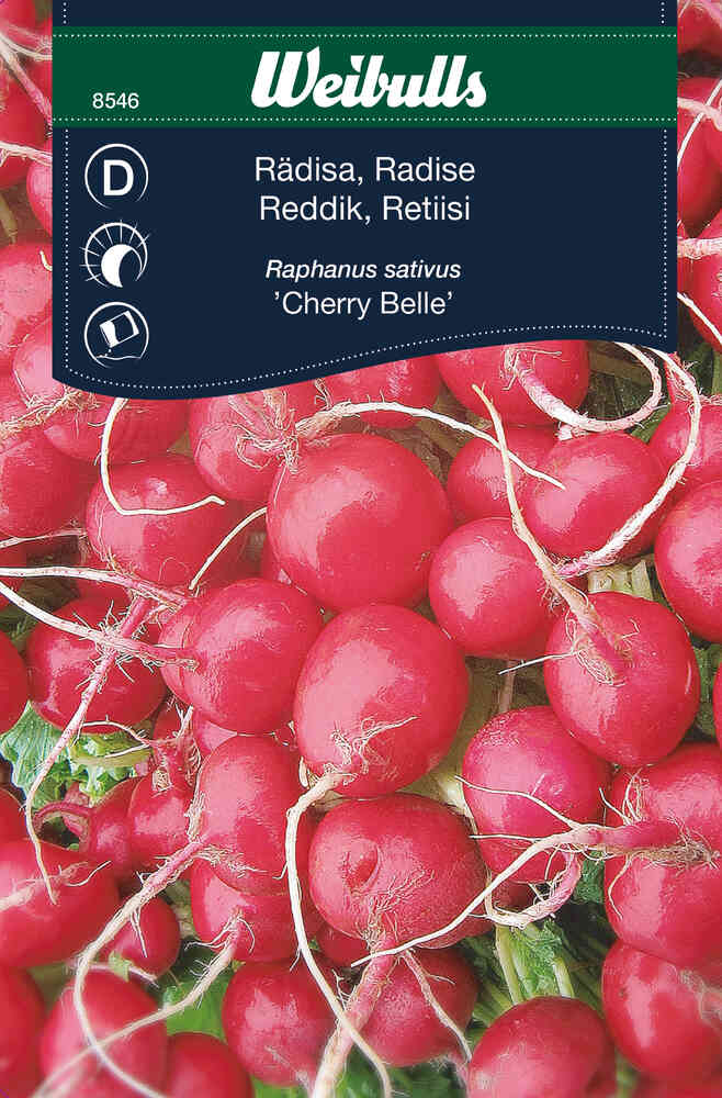 Retiisi 'Cherry Belle'