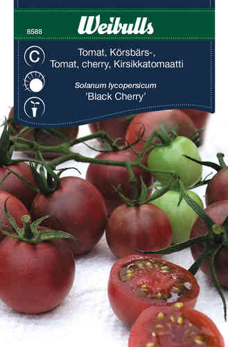 Kirsikkatomaatti 'Black Cherry'
