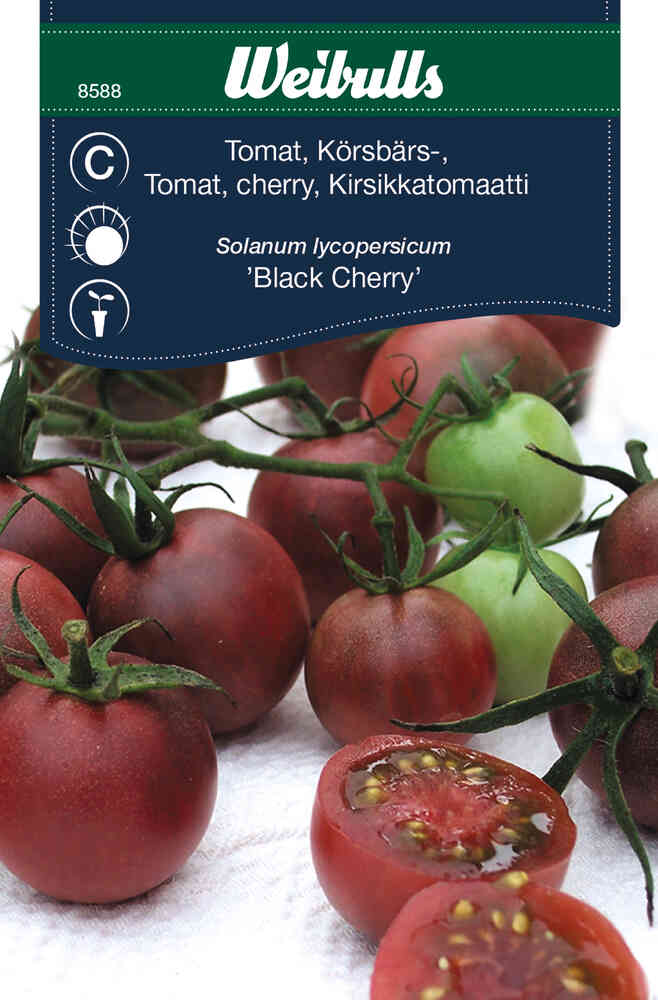 Körsbärstomat 'Black Cherry'