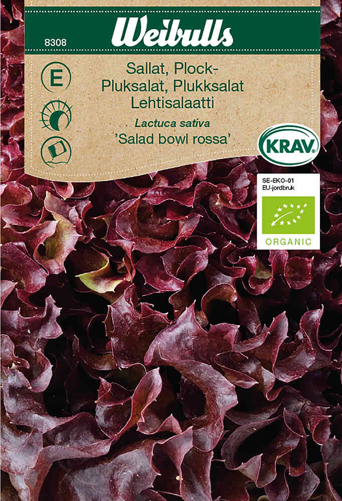 EKO Plocksallat 'Salad Bowl Rossa'