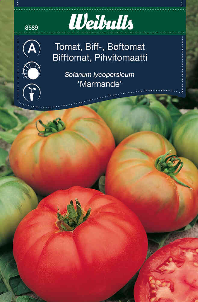 Bifftomat 'Marmande'
