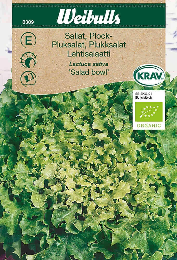 EKO Plocksallat 'Salad Bowl'