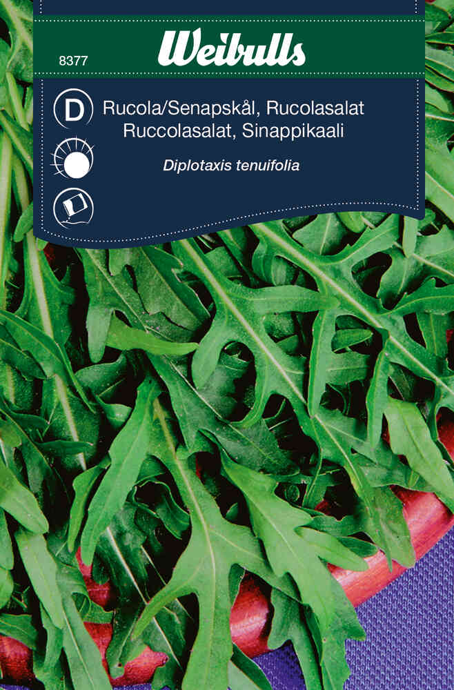 Italiensk rucola, senapskål