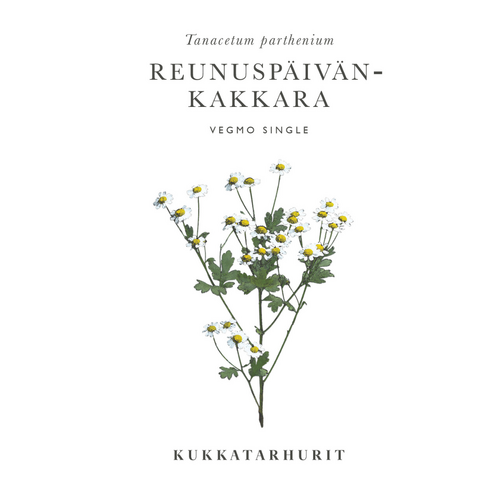 Reunuspäivänkakkara Vegmo Single