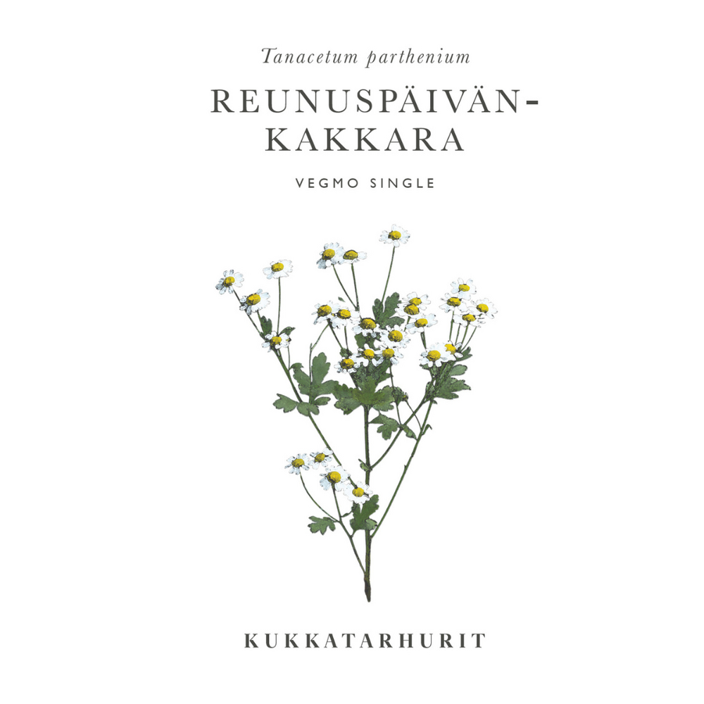 Mattram Vegmo Single