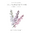 Romersk riddarsporre Winter Sky Medley