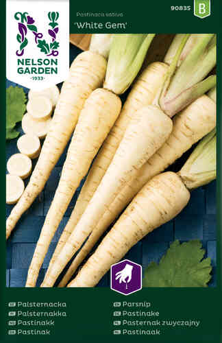 Palsternakka 'White Gem'