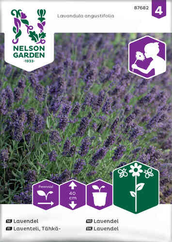 Lavendel