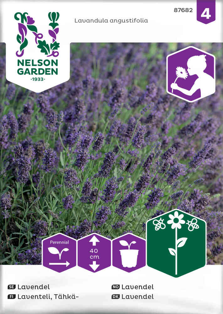 Lavendel