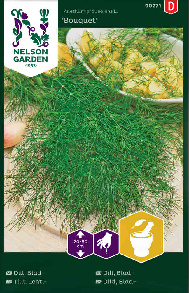 Dill 'Bouquet'