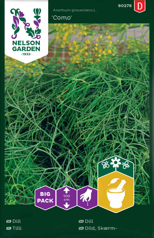 Dill 'Como' Big Pack