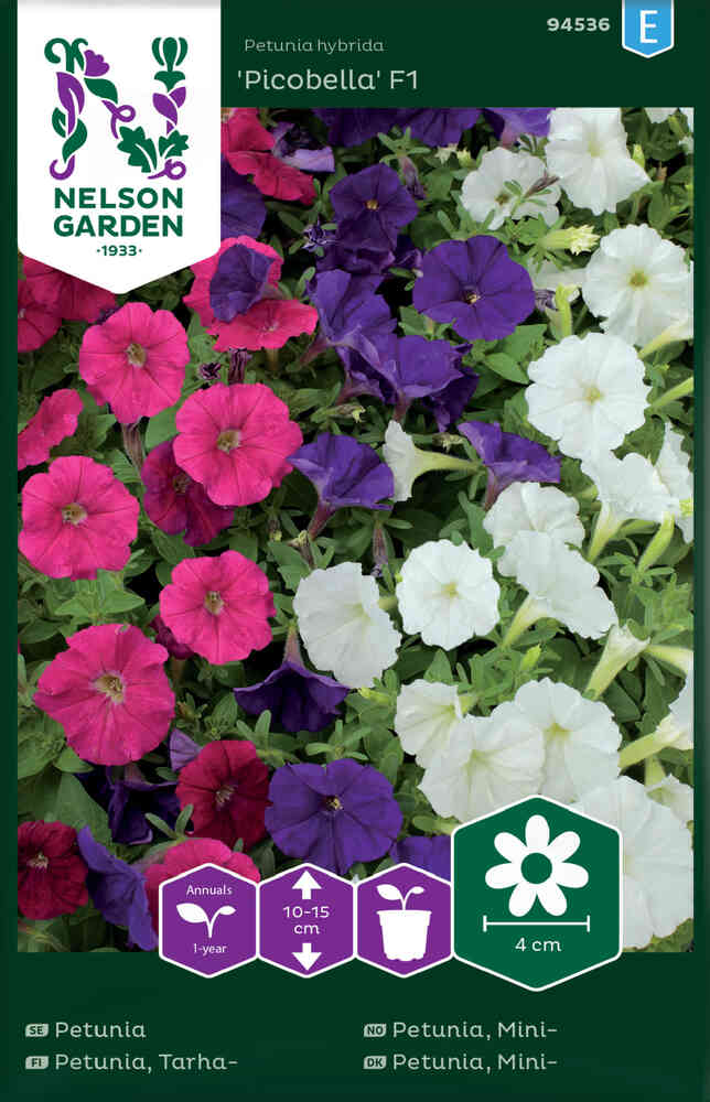 Rondellpetunia 'Picobella' F1