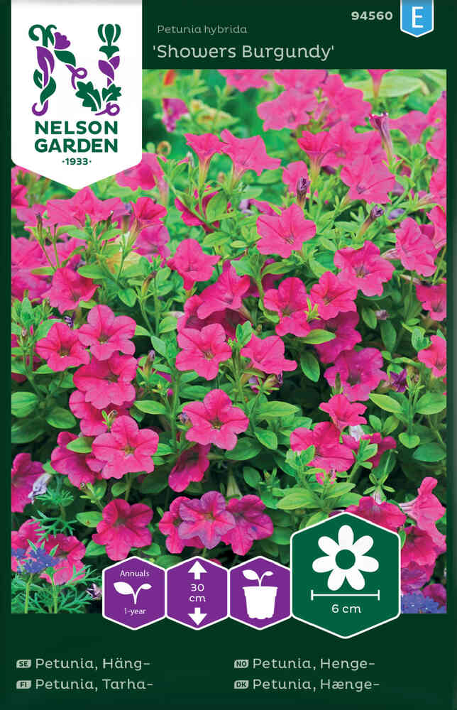 Rondellpetunia 'Showers Burgundy'