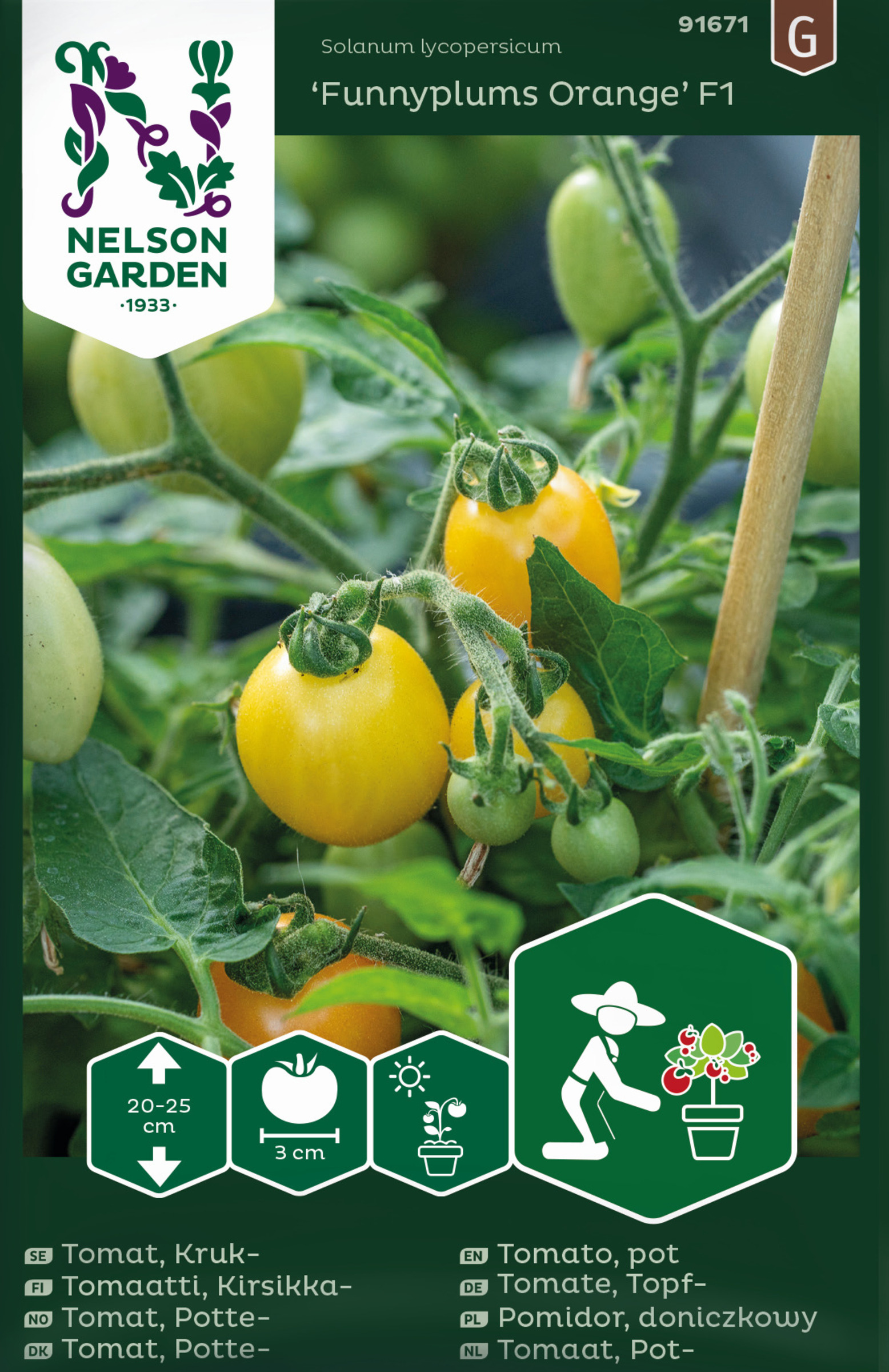 Kruktomat 'Funnyplums Orange' F1