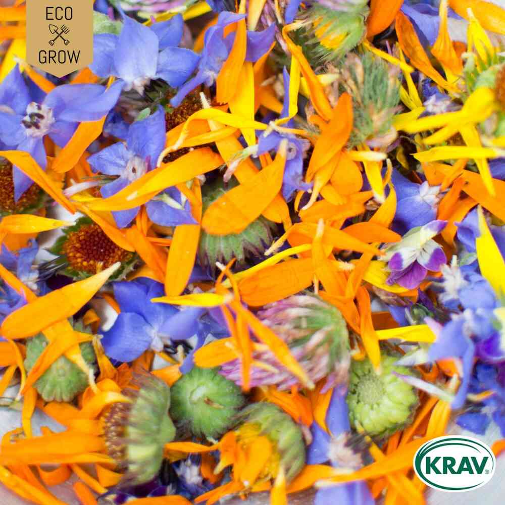 EKO Ätbara Blommor 'Edible Flower Mix'