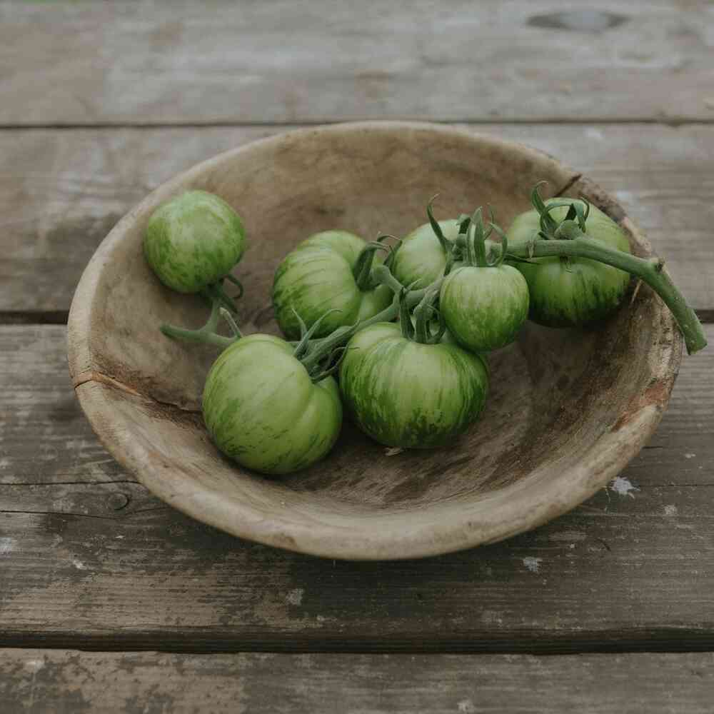 EKO Tomat 'Green Zebra'