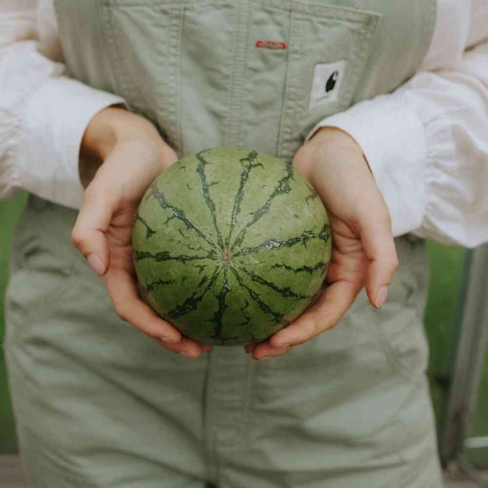 Vattenmelon 'Tigrimini' F1
