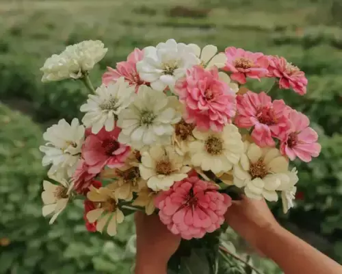 Image.webp?6787BAFD0A320E02E123