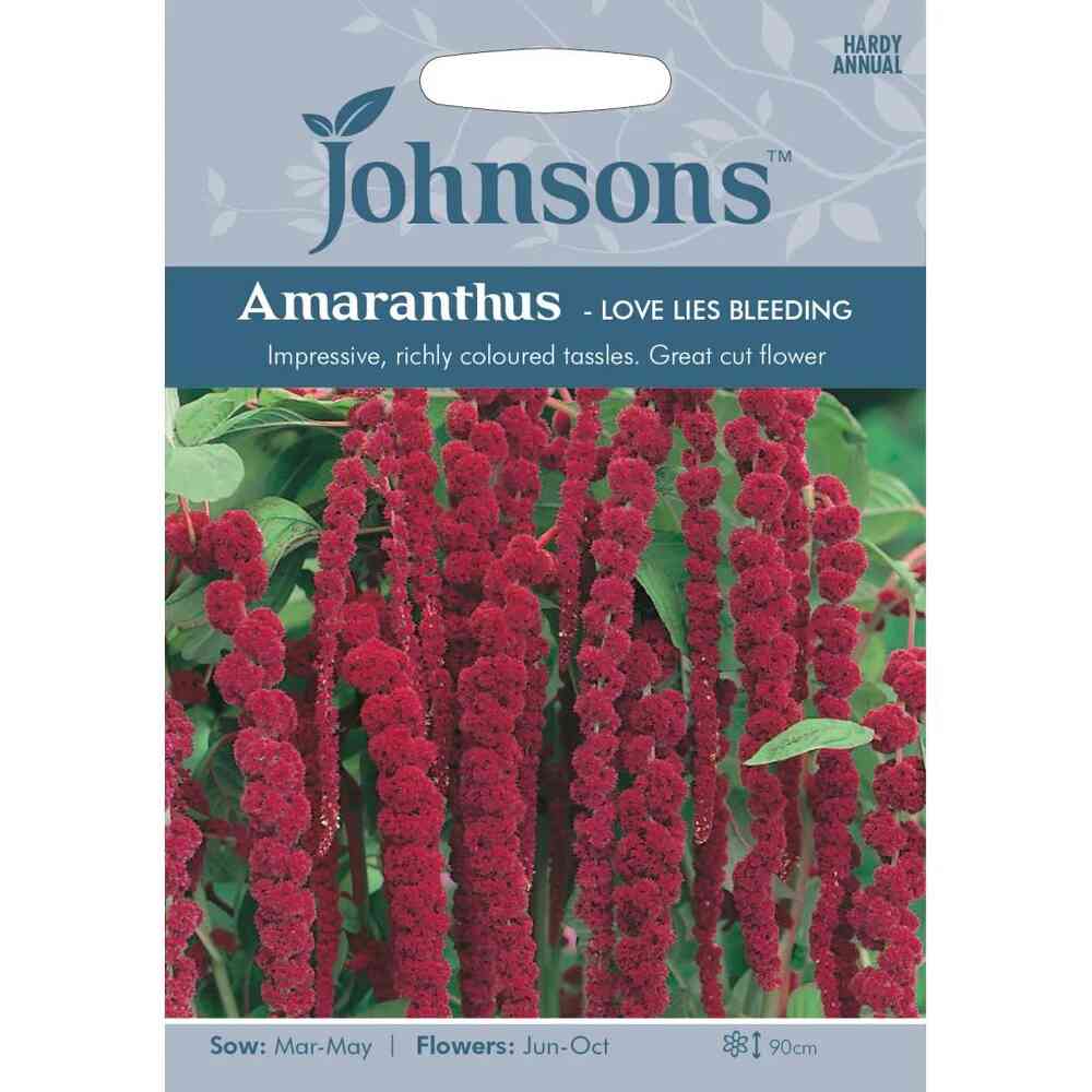Rävsvans 'Love Lies Bleeding'