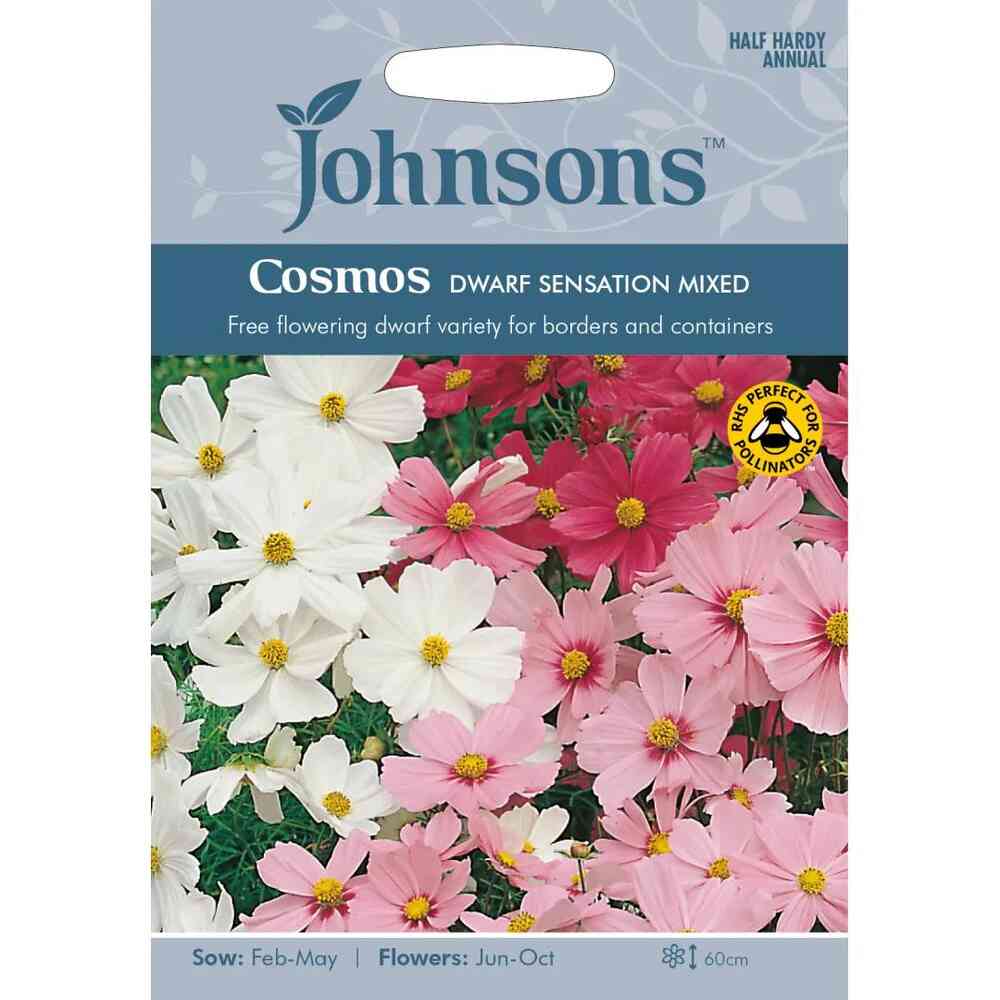 Rosenskära 'Dwarf Sensation Mixed'