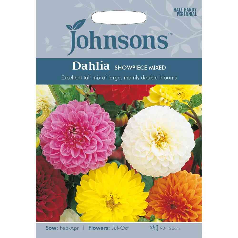 Dahlia 'Showpiece Mixed'