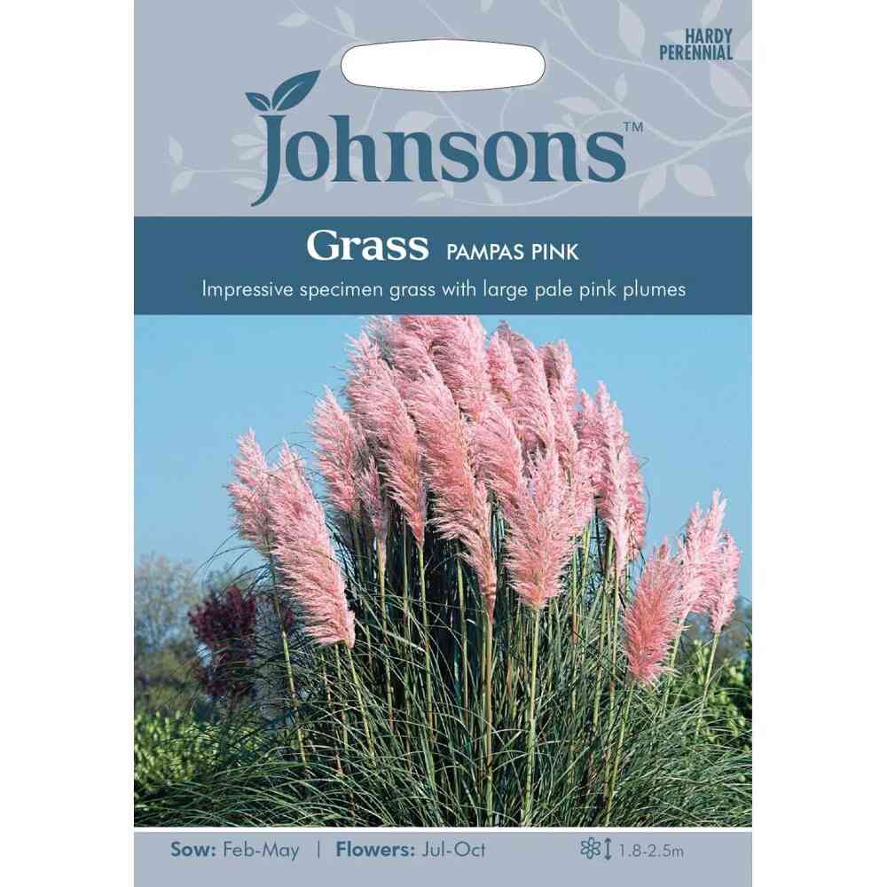 Pampasgräs Rött 'Pampas Pink'