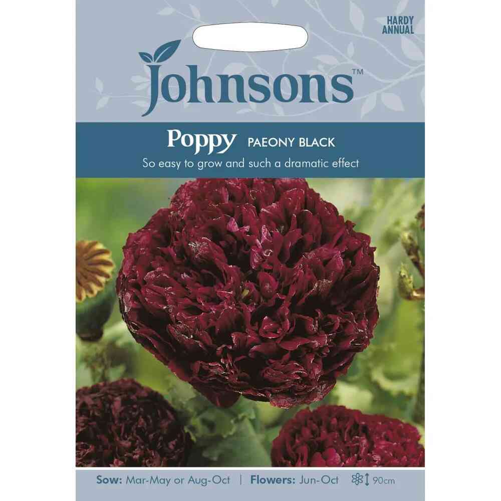 Pionvallmo 'Paeony Black'