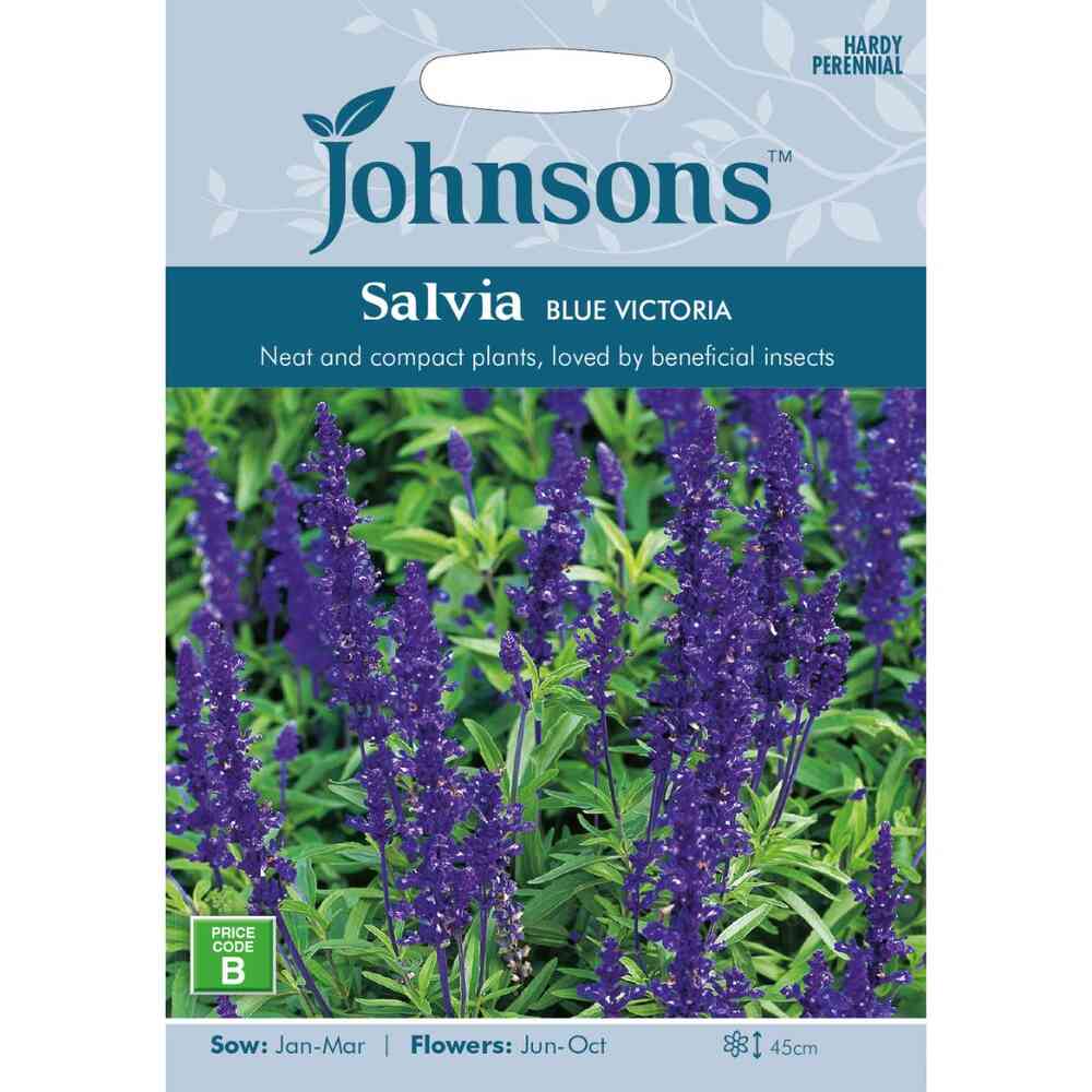 Daggsalvia 'Blue Victoria'