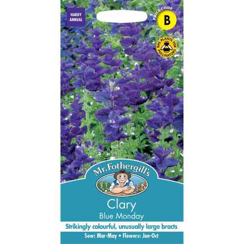 Kirjosalvia 'Blue Monday'
