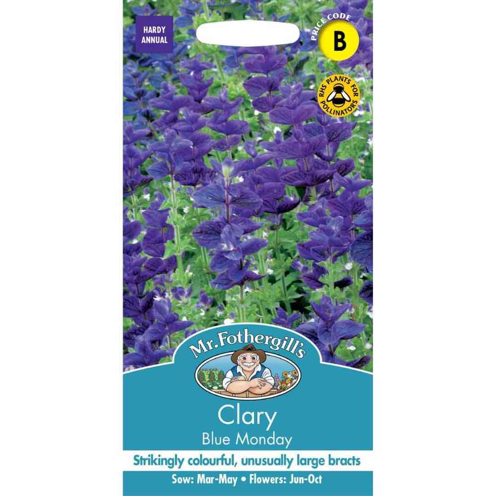 Blåbladig Broksalvia 'Blue Monday'