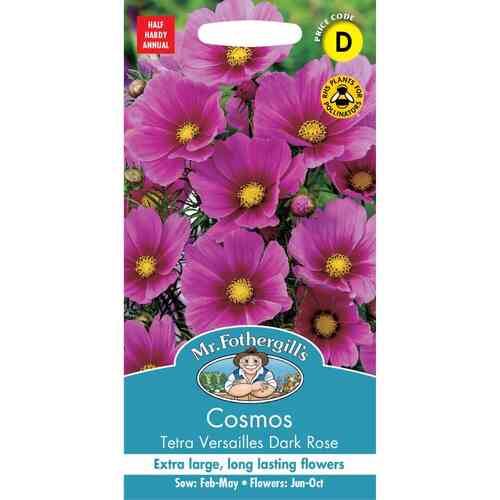 Punakosmoskukka 'Tetra Versailles Dark Rose'