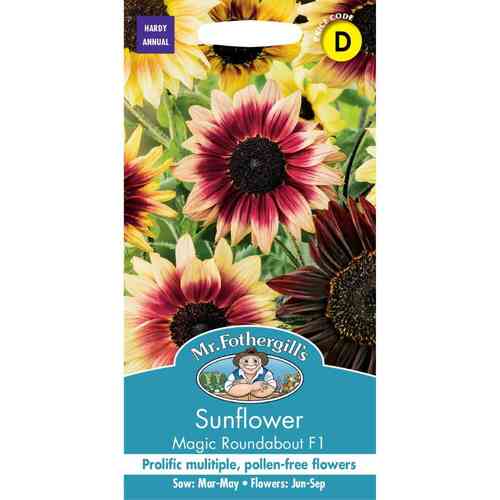 Puna-auringonkukka 'Magic Roundabout' F1