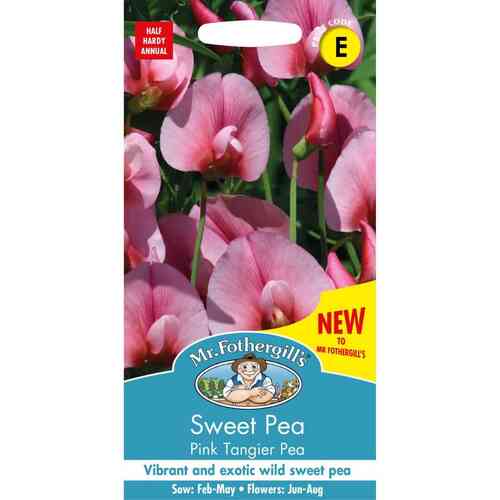 Etelännätkelmä 'Pink Tangier Pea'