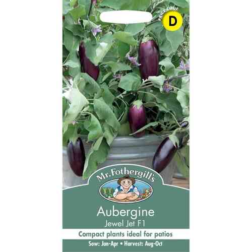 Aubergine 'Jewel Jet' F1