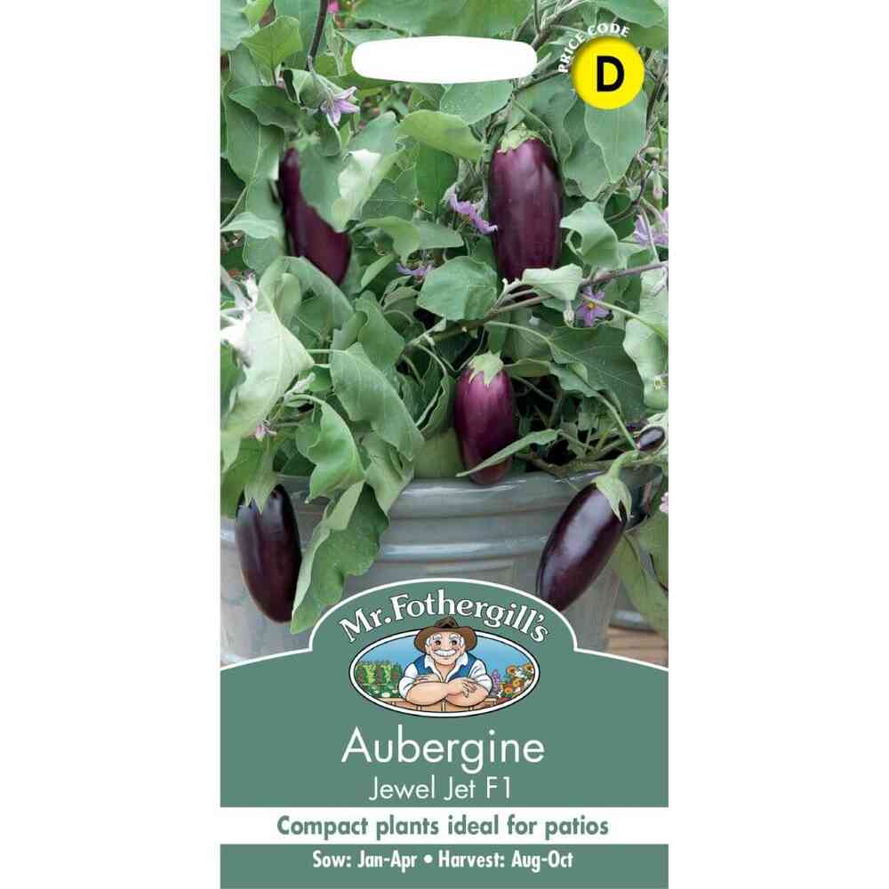 Aubergine 'Jewel Jet' F1