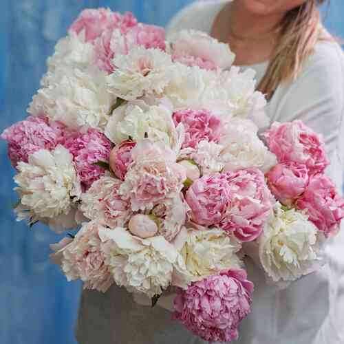 Pionmix Romantic