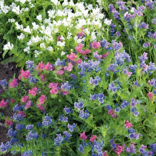 Image.jpeg?68E5162B0A320E03915B